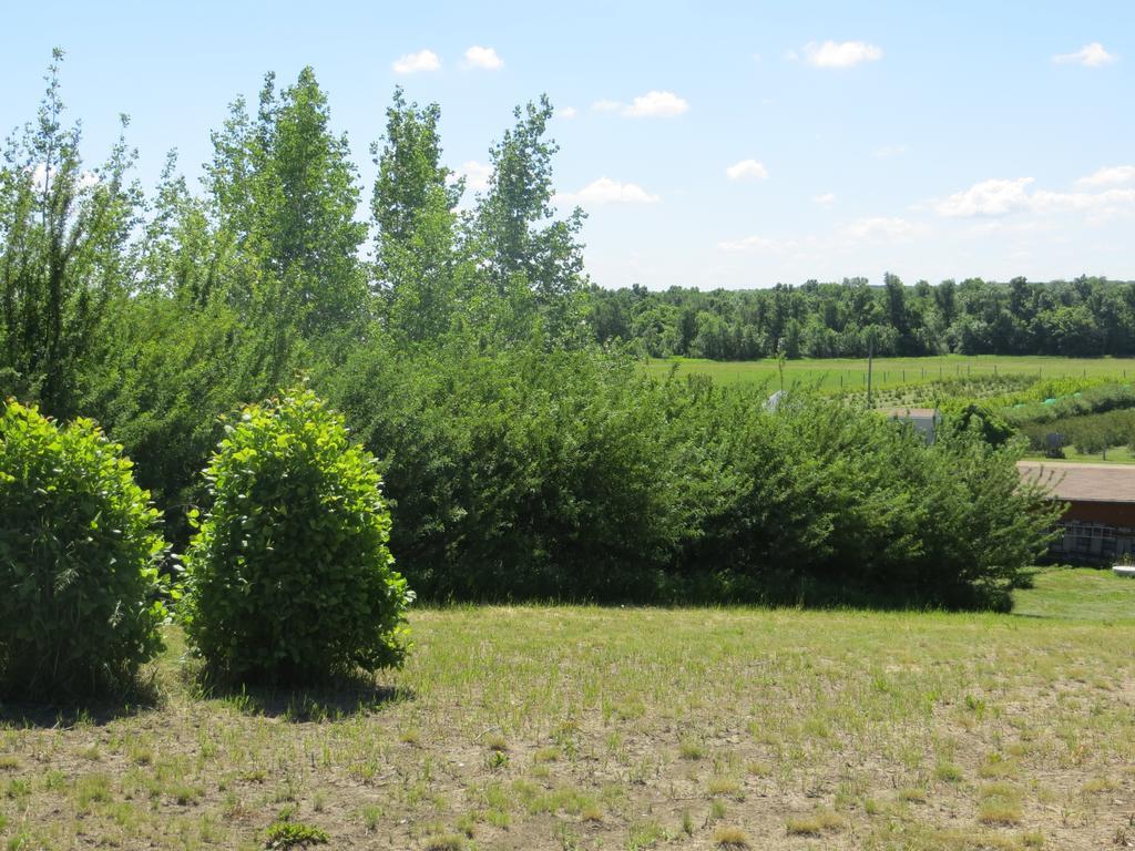 Orchard View Bed And Breakfast Moose Jaw Bagian luar foto